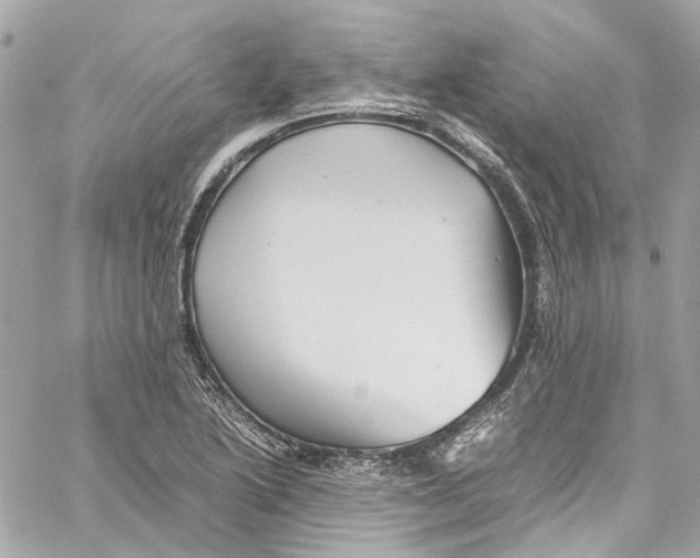 X0000059851222200511181530