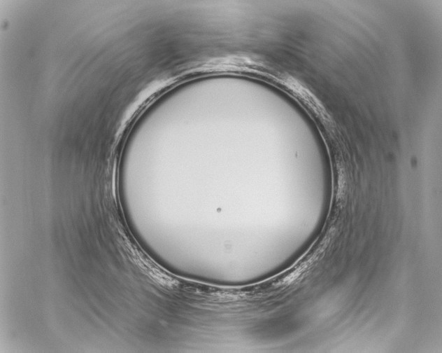 X0000059851224200511181530