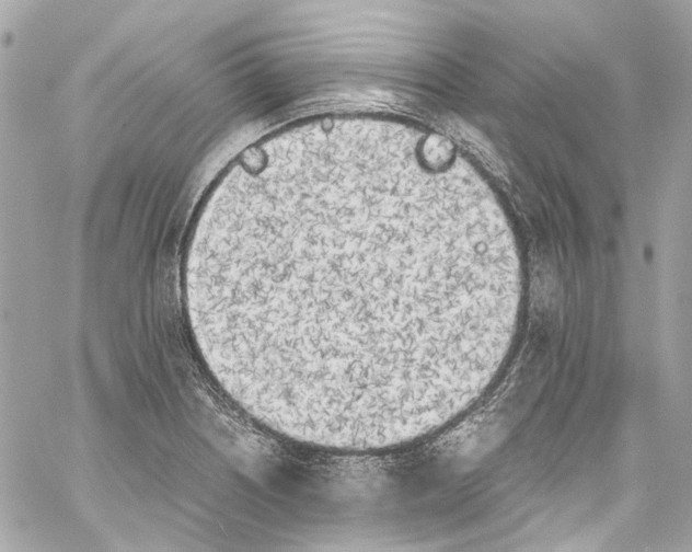 X0000059851226200511181530