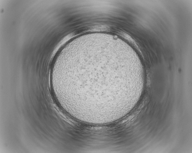 X0000059851227200511181530