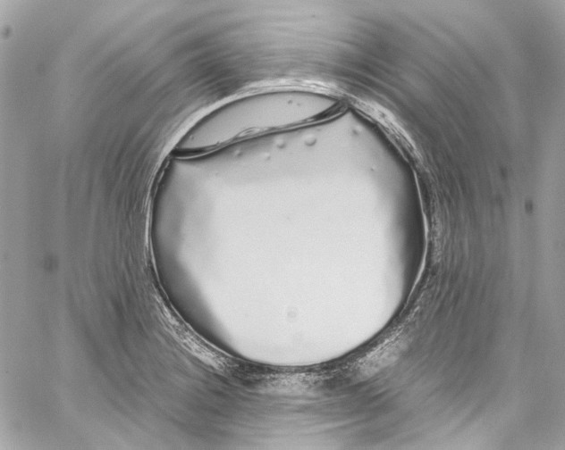 X0000059851228200511181530