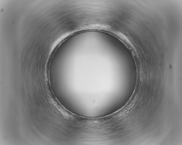 X0000059851230200511181530