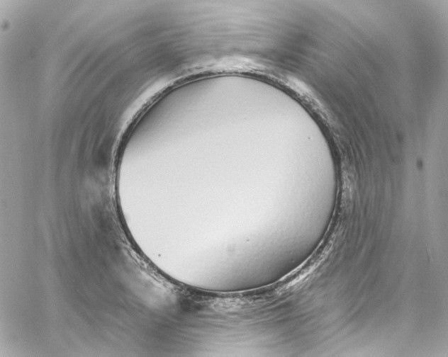 X0000059851232200511181530