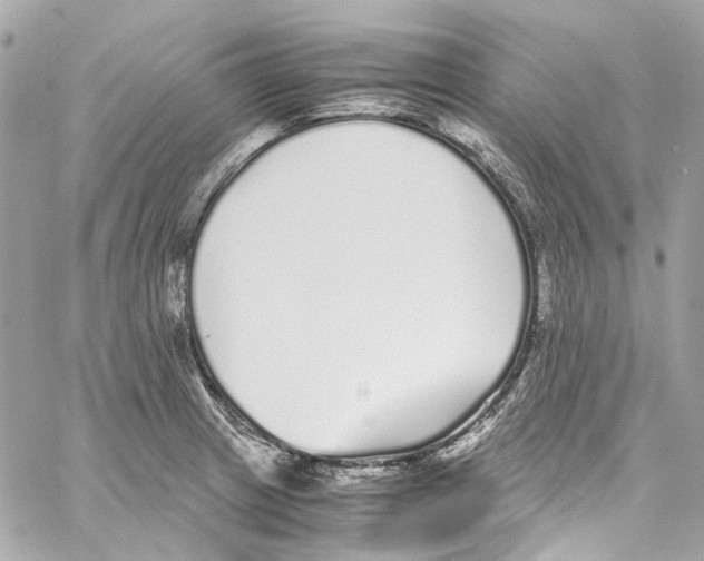 X0000059851233200511181530