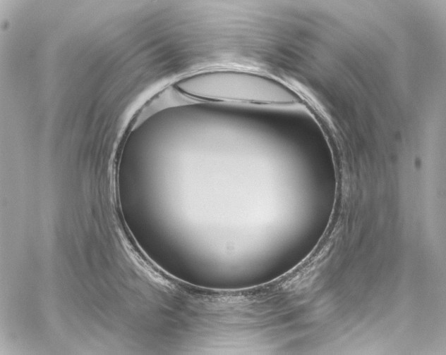 X0000059851238200511181530