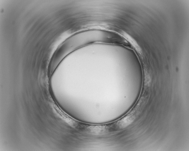 X0000059851240200511181530