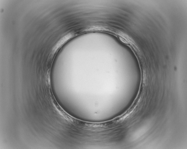 X0000059851241200511181530