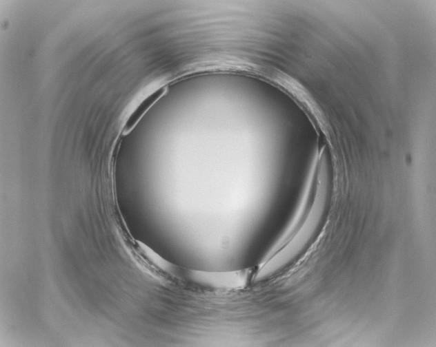 X0000059851242200511181530