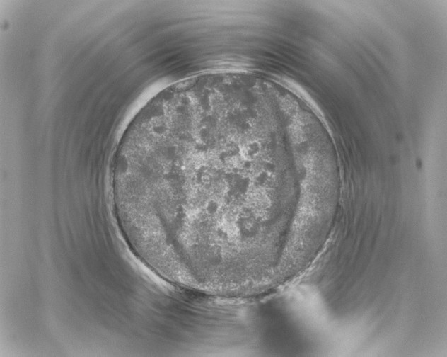 X0000059851243200511181530