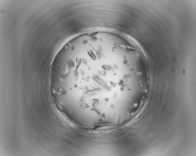 X0000059851244200511181530