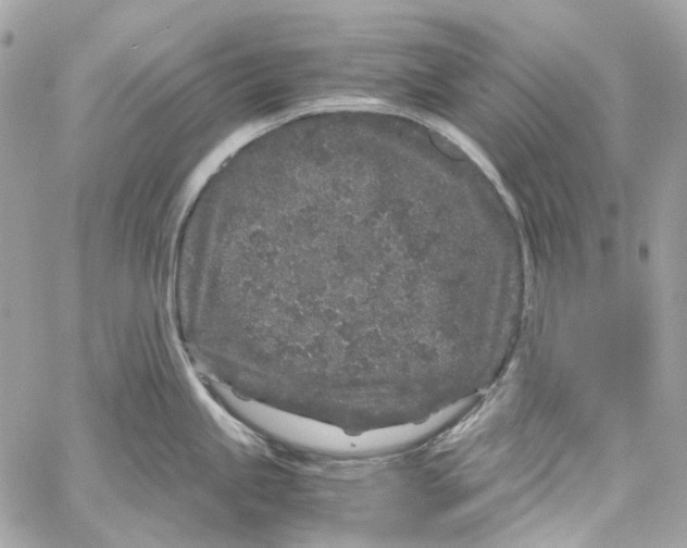 X0000059851245200511181530