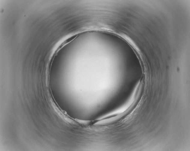 X0000059851246200511181530