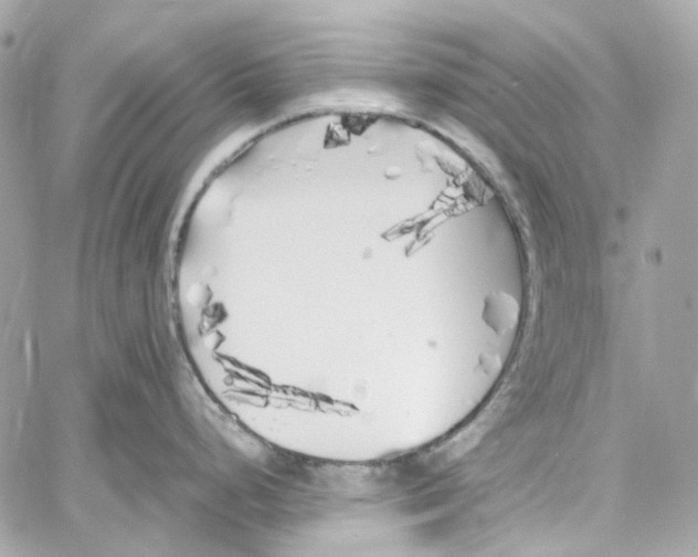 X0000059851248200511181530