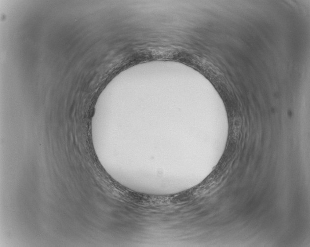 X0000059851249200511181529