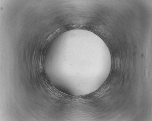 X0000059851250200511181529