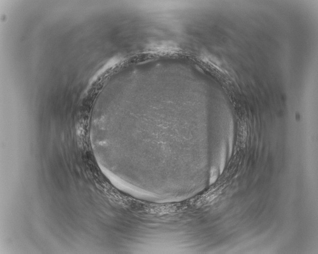 X0000059851254200511181529