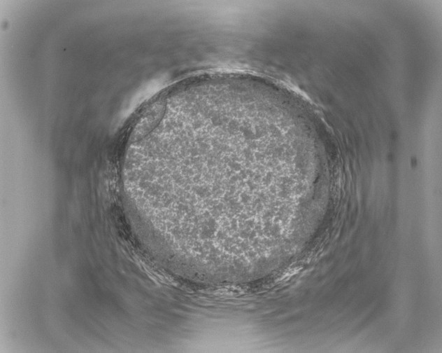 X0000059851255200511181529