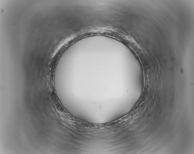 X0000059851256200511181529