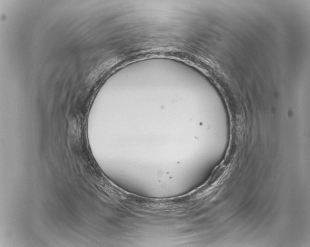 X0000059851257200511181529