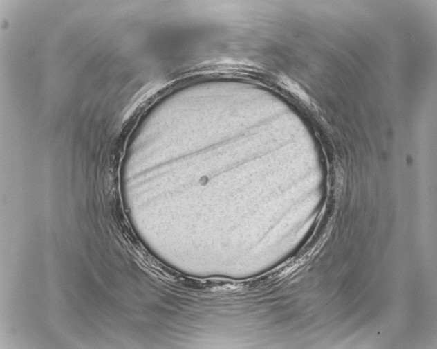 X0000059851259200511181529