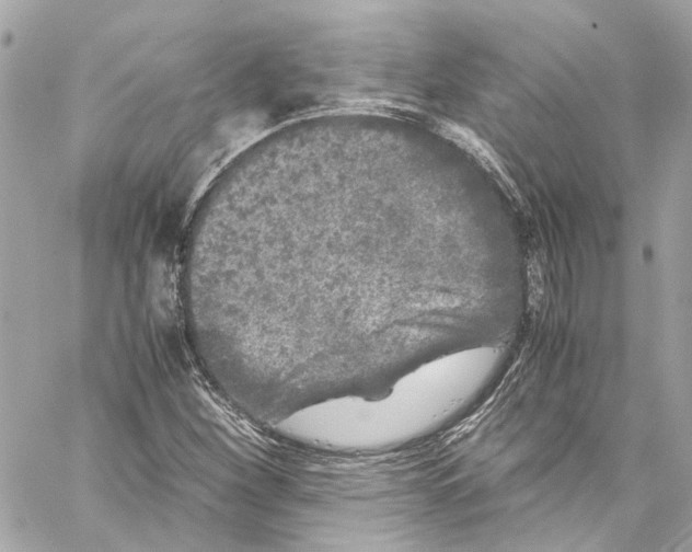 X0000059851260200511181529