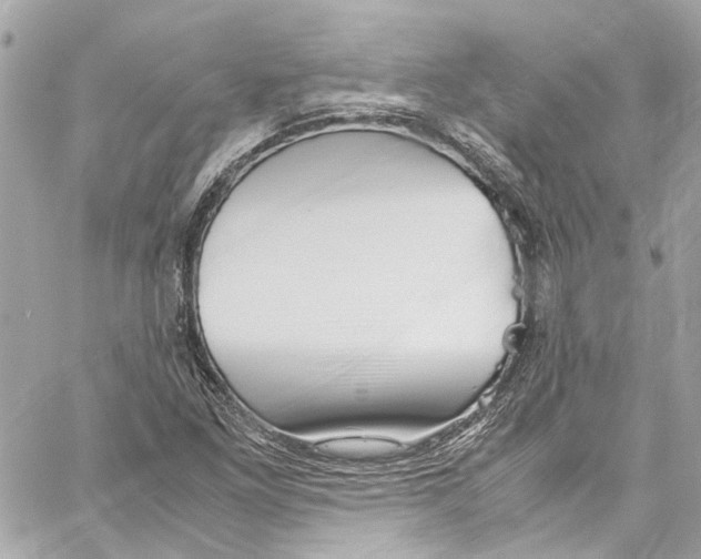 X0000059851261200511181529