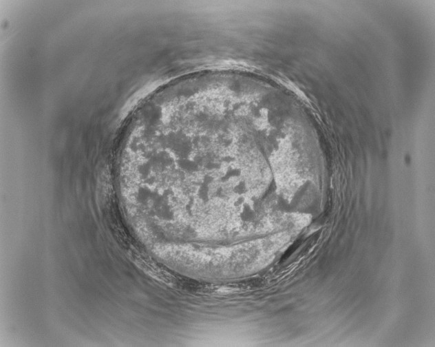 X0000059851263200511181529