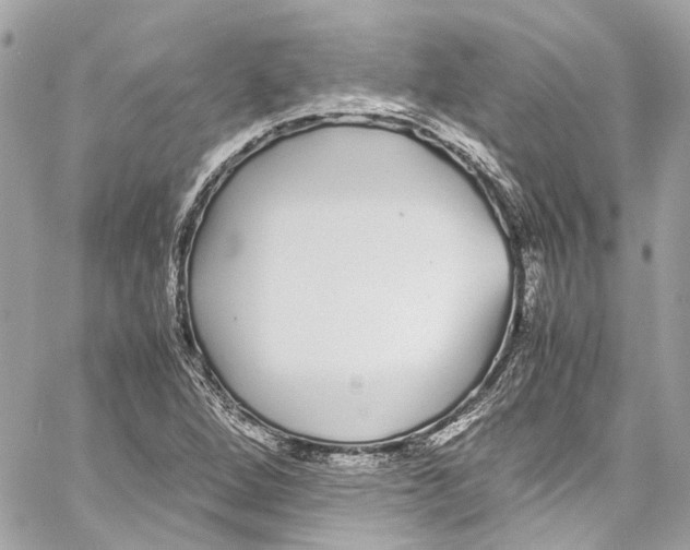 X0000059851264200511181529