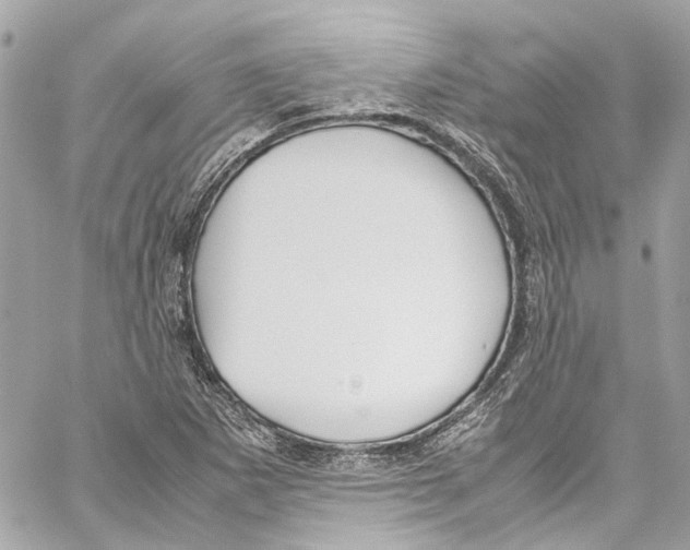 X0000059851265200511181529