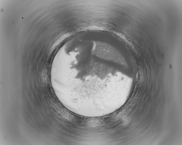 X0000059851266200511181529