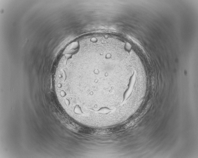 X0000059851267200511181529