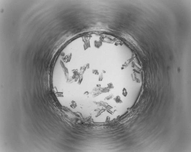 X0000059851268200511181529