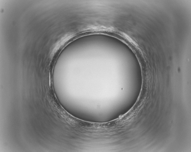 X0000059851269200511181529