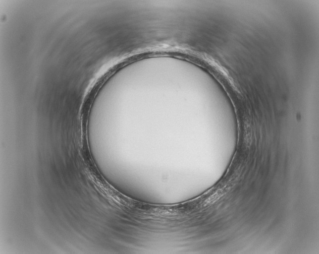 X0000059851270200511181529