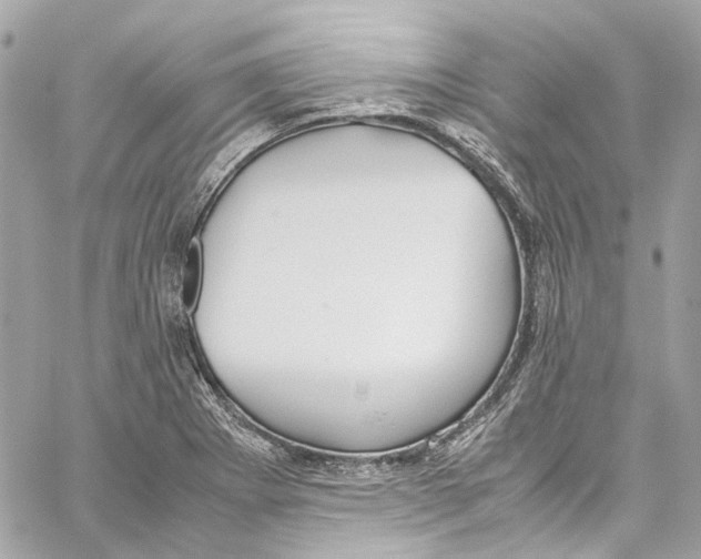 X0000059851273200511181529