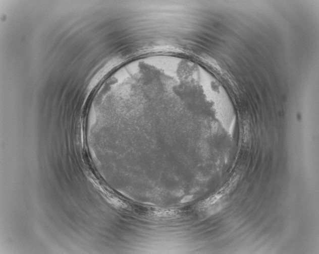 X0000059851274200511181529