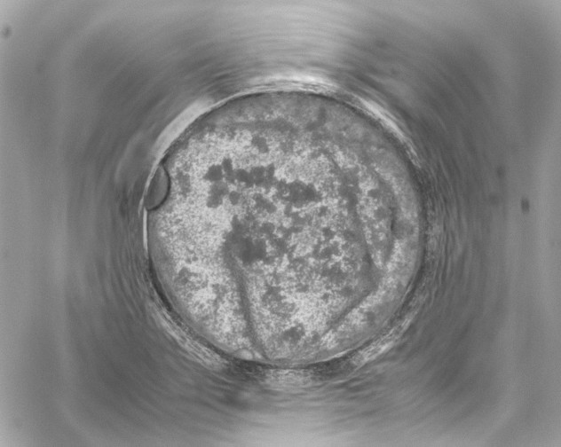 X0000059851275200511181529