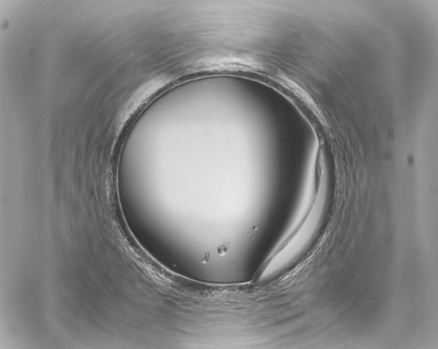 X0000059851277200511181529