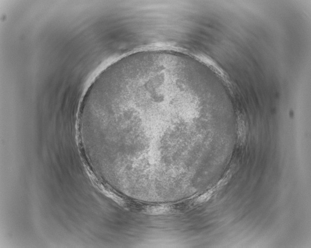 X0000059851278200511181529