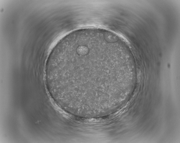 X0000059851279200511181529