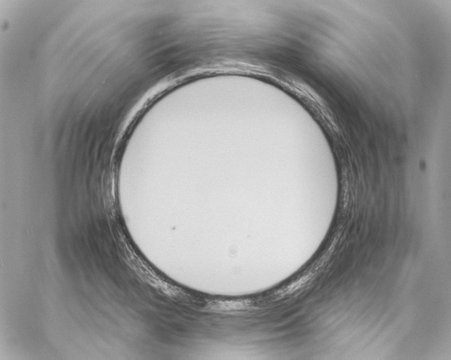 X0000059851280200511181529