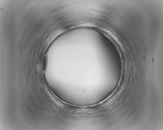 X0000059851281200511181529