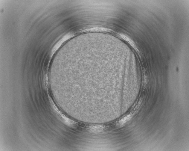 X0000059851282200511181529