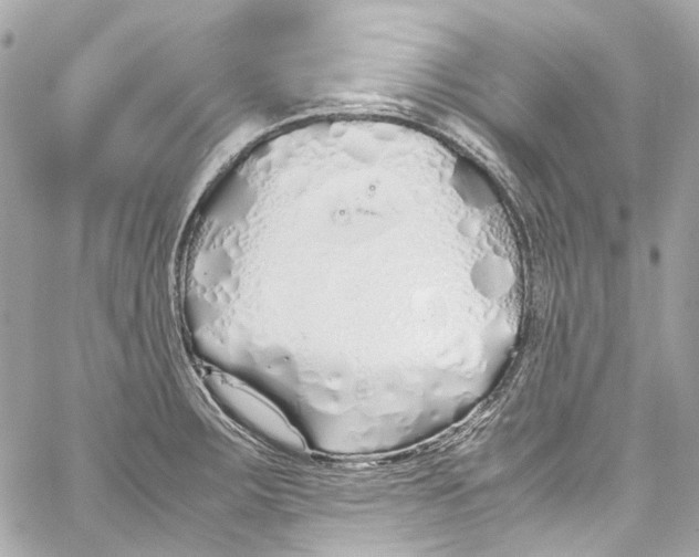 X0000059851283200511181529