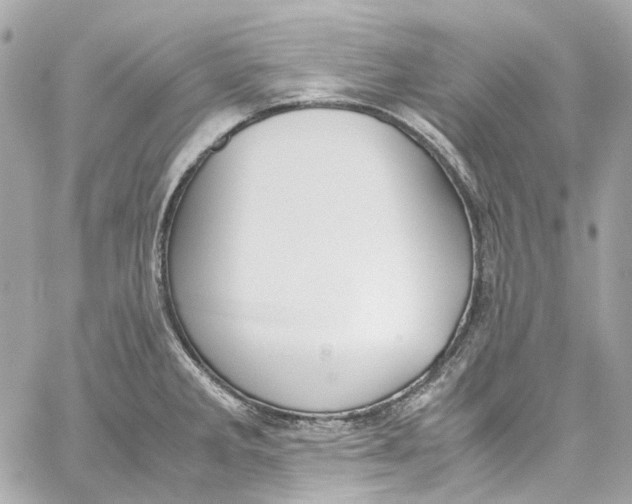 X0000059851285200511181529