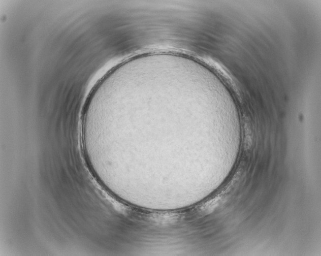 X0000059851286200511181529