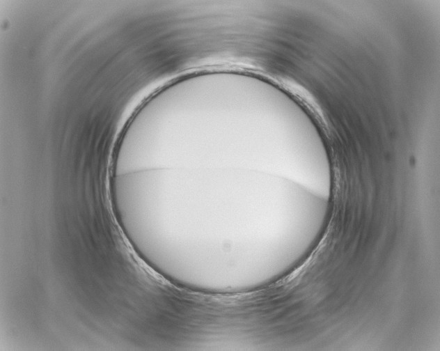 X0000059851288200511181529