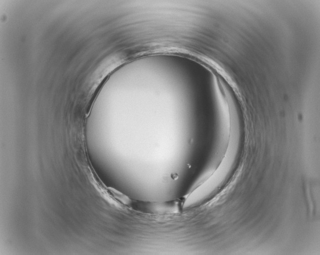 X0000059851289200511181529