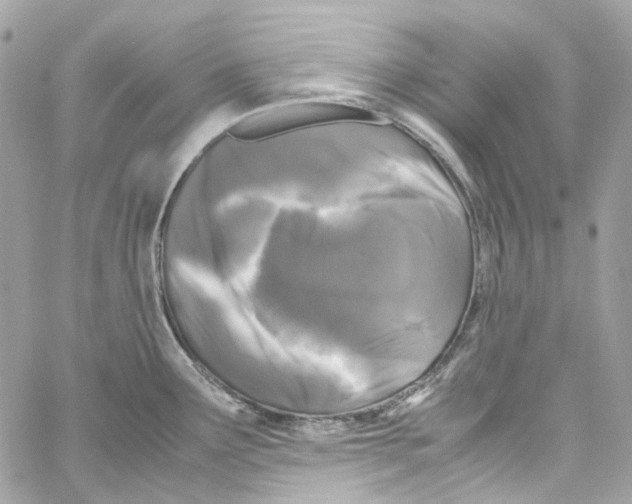 X0000059851291200511181529