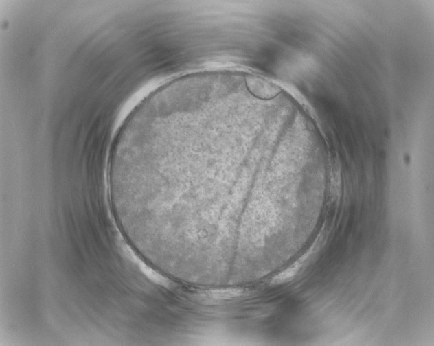 X0000059851294200511181529